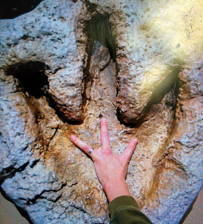 A Not So Distant Cousin