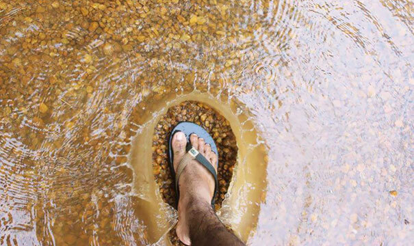 Perfect Shot