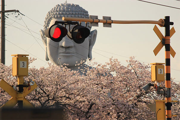 Cool Sunglasses