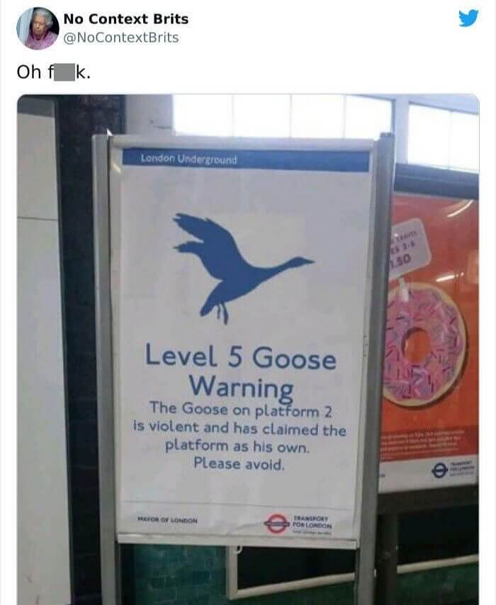 Avoid the Goose on Platform 5