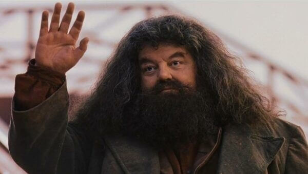 5. Rubeus Hagrid