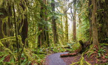 Camping and Hiking Spots You Should Never Visit in the US