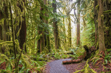 Camping and Hiking Spots You Should Never Visit in the US