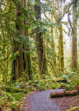 Camping and Hiking Spots You Should Never Visit in the US