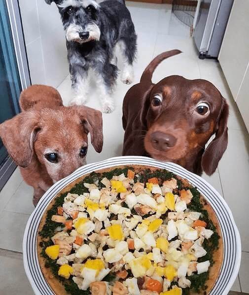 Diversifique a dieta do seu cão com frutas e legumes