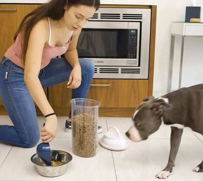 Armazene sua comida de cachorro em um recipiente separado