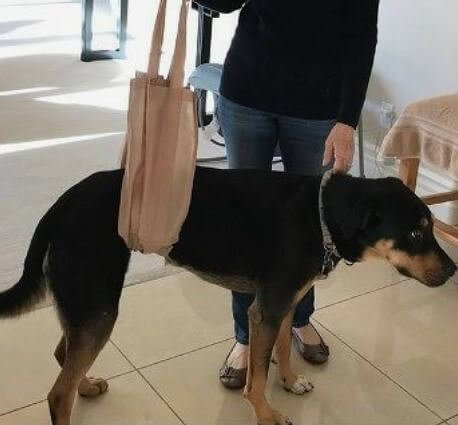 Transforme um saco de supermercado em um sling