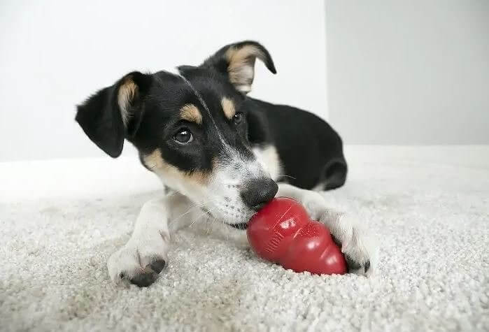 Encha um brinquedo com guloseimas