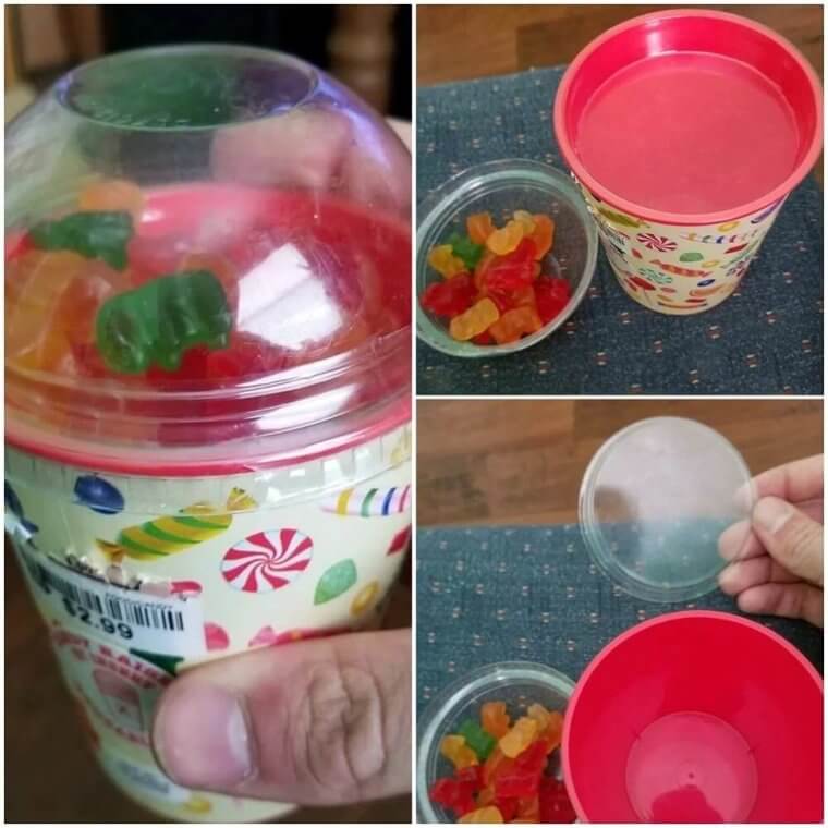 Onde Estão Todos Os Ursos?