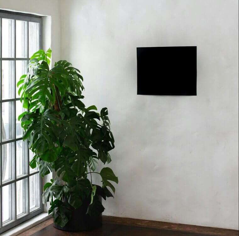 Get More Natural Light in the Morning