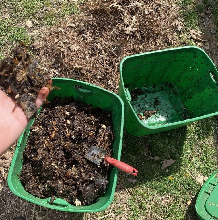 Using Pine Needles in Compost Piles