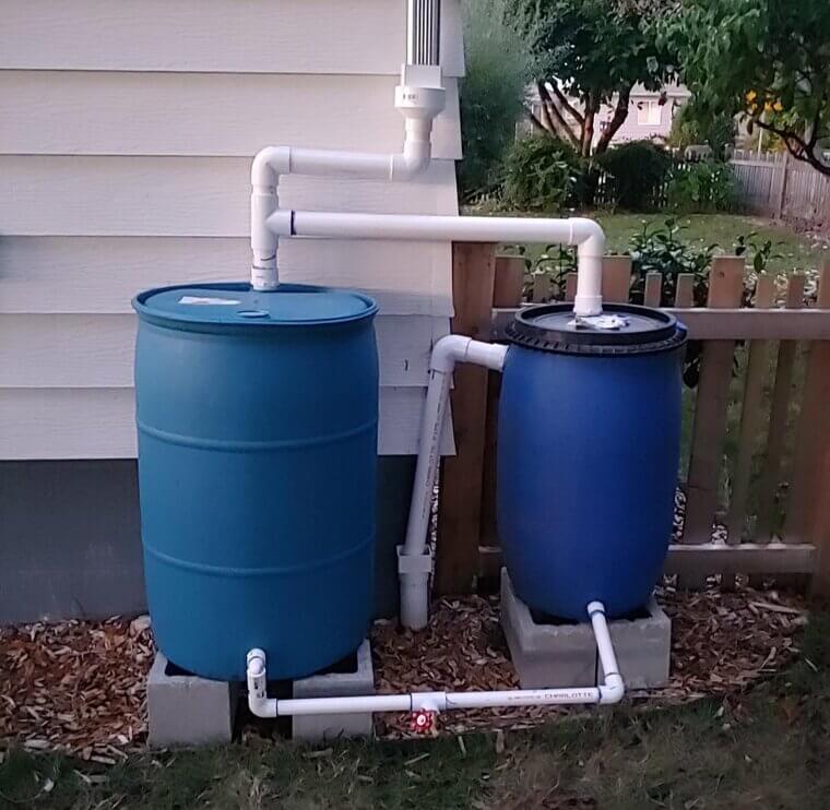Collect Rainwater