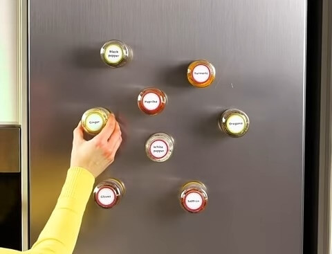 Magnetic Spices