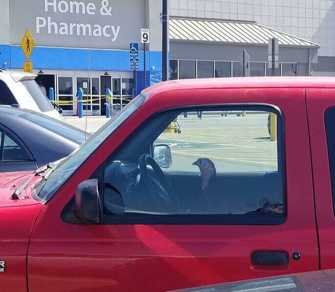 License and Registration, Please