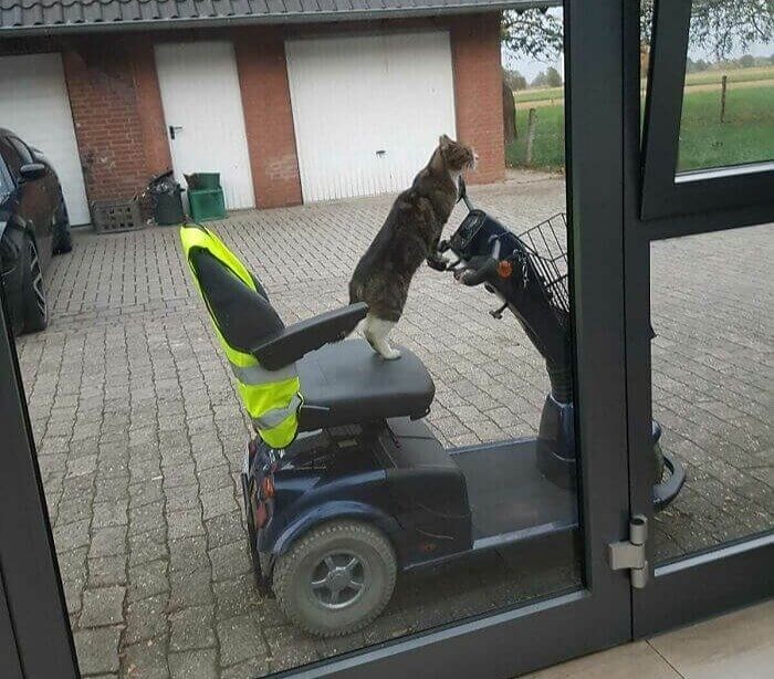 Straight to the Fish Aisle