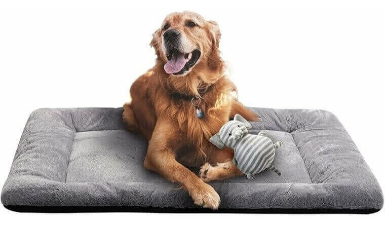 Cozy and Washable bed for Large Breeds