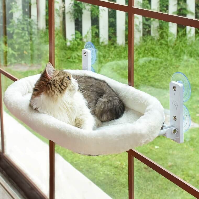 Luxurious Window Hammock