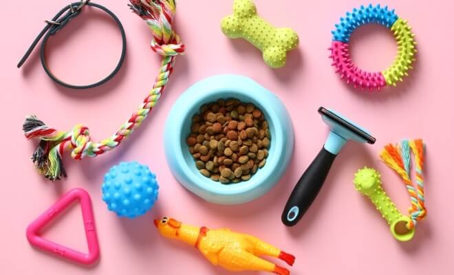 Amazon Picks for Pet Owners Who Love Practical Buys