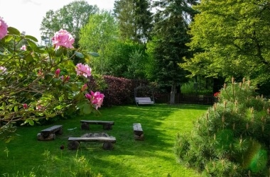 Things You’re Not Allowed to Do in Your Backyard Anymore