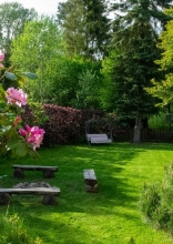 Things You’re Not Allowed to Do in Your Backyard Anymore
