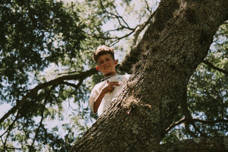 Climb Trees, Roofs, or Abandoned Buildings