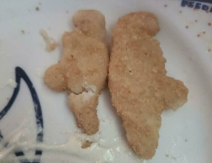Large Dinosaur Nuggets Are Going Extinct