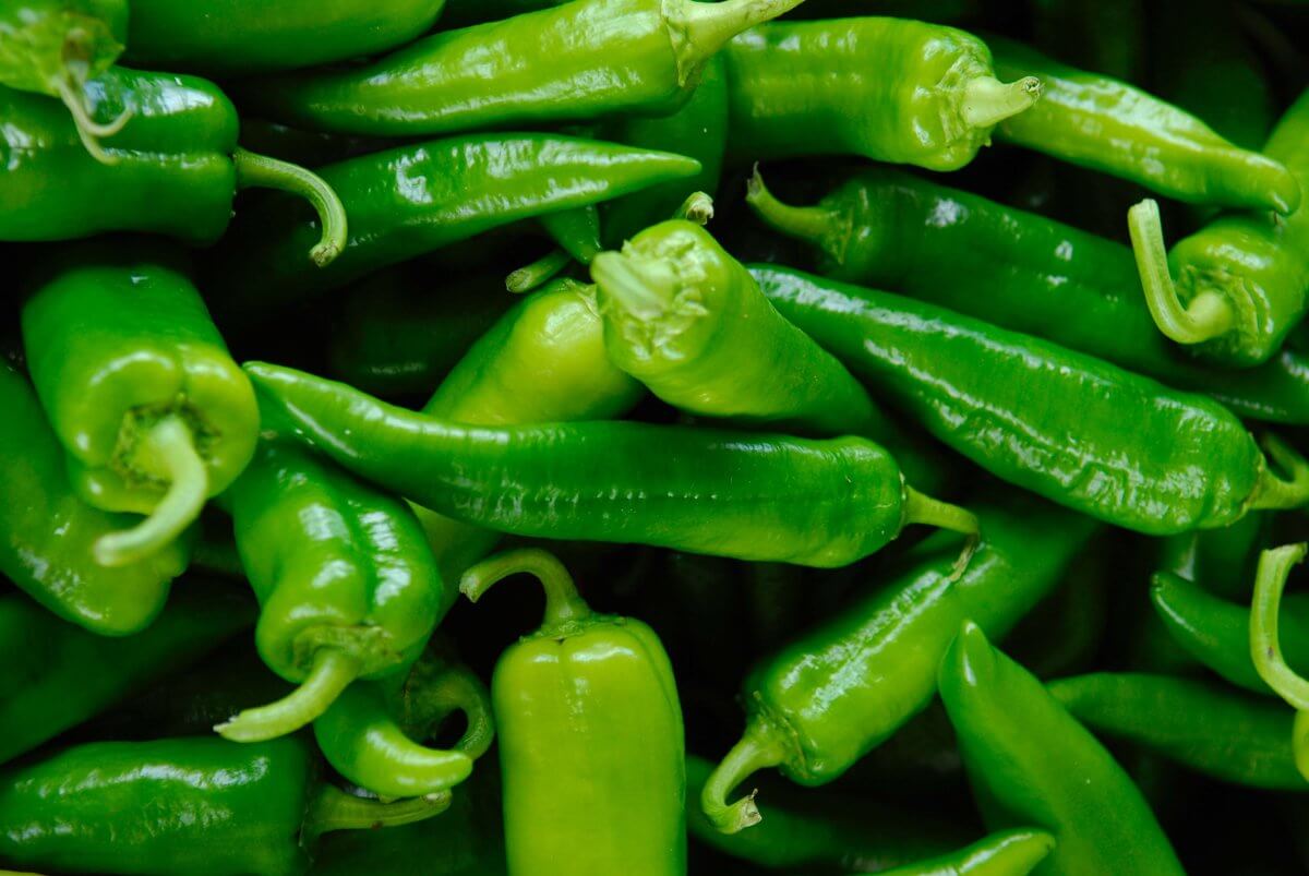 Is Green Chili a Miracle Health Food?