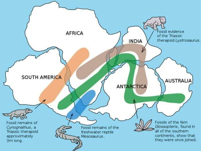 Fossil Evidence Provides Evidence for Pangaea