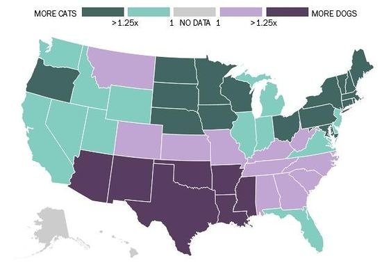 Us States That on Average Prefer Cats to Dogs