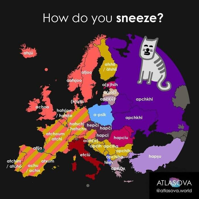 How Europeans Sneeze