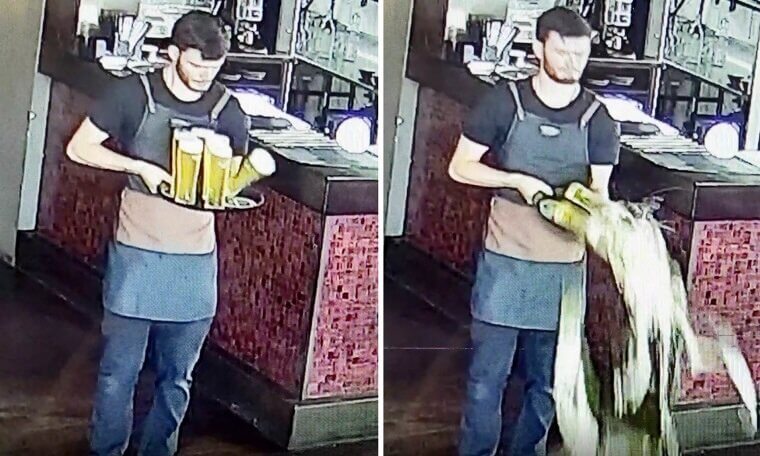 In The UK People Cheer When A Waiter Drops Everything