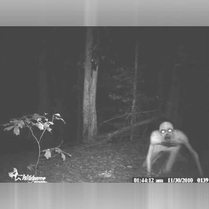 Creature From Another Dimension