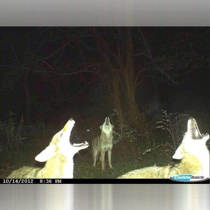 An Epic Shot