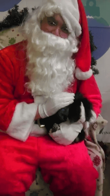 A Santa Visit