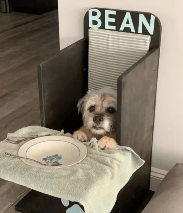 His Own Chair And Table