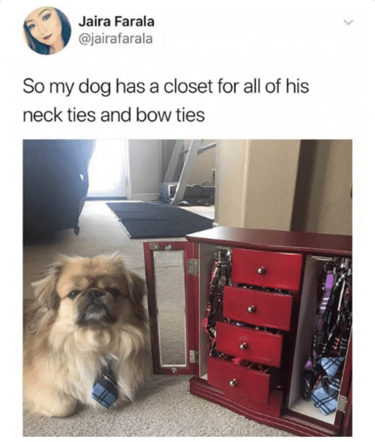 Doggy Closet