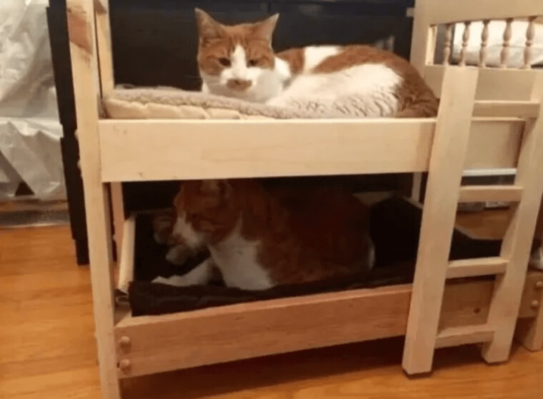 Mini-Bunk Beds