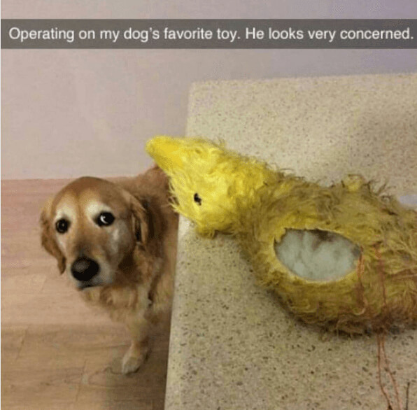 Performing Toy Surgery