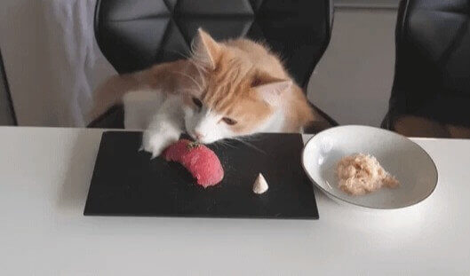 Winner Winner Sushi Dinner