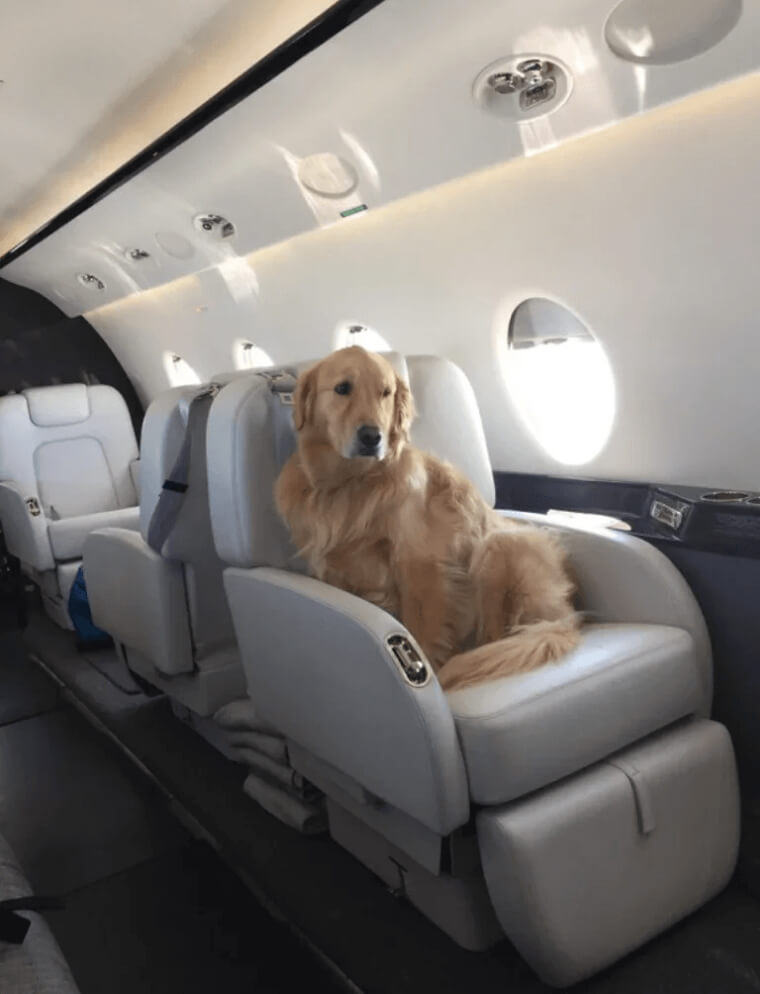 Traveling With Class