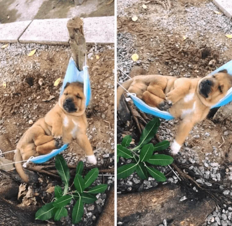 A Personalized Hammock