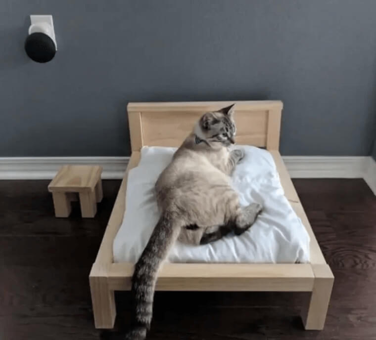 The Cutest Little Bed