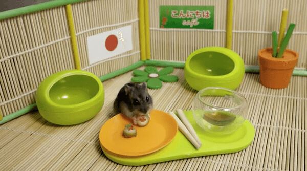 World's Tiniest Sushi Restaurant