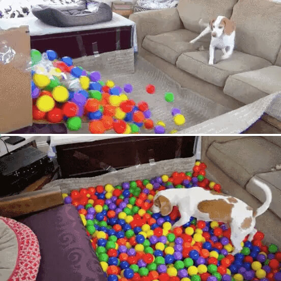 Ball Pit