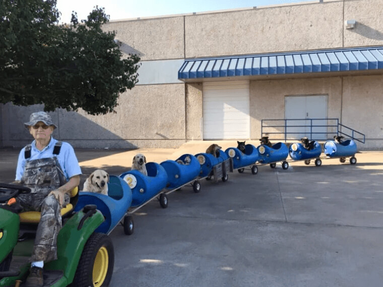 Doggy Train Rides