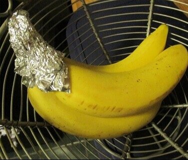 Prevent Bananas From Ripening