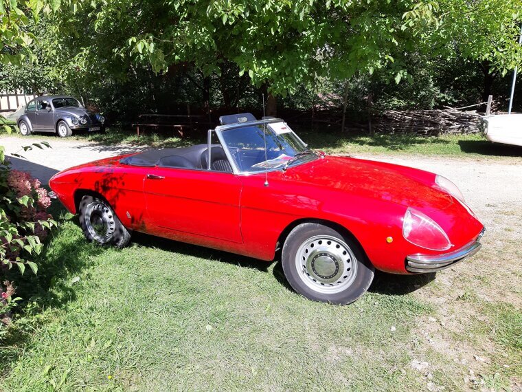 1966 Alfa Romeo Spider Duetto