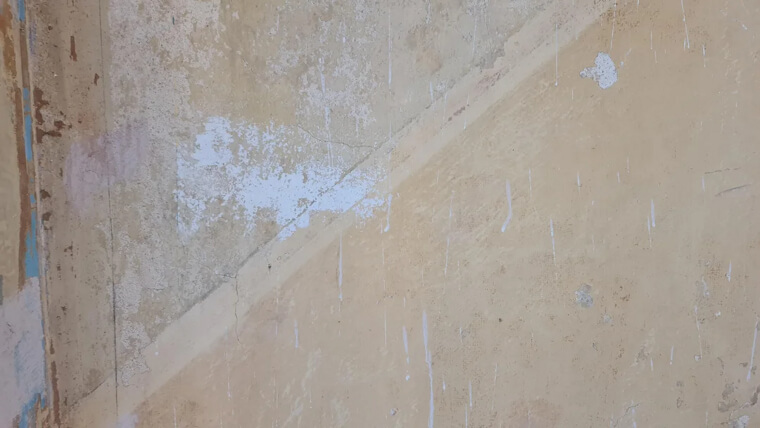 The Yellowed Wallpaper