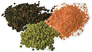 Lucrative Lentils