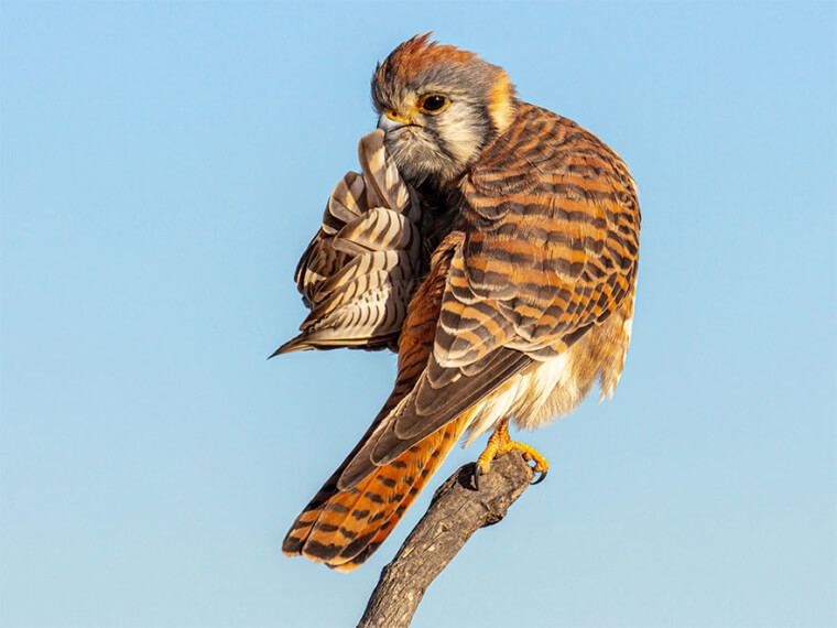 Shhh Don't Tell Nobody